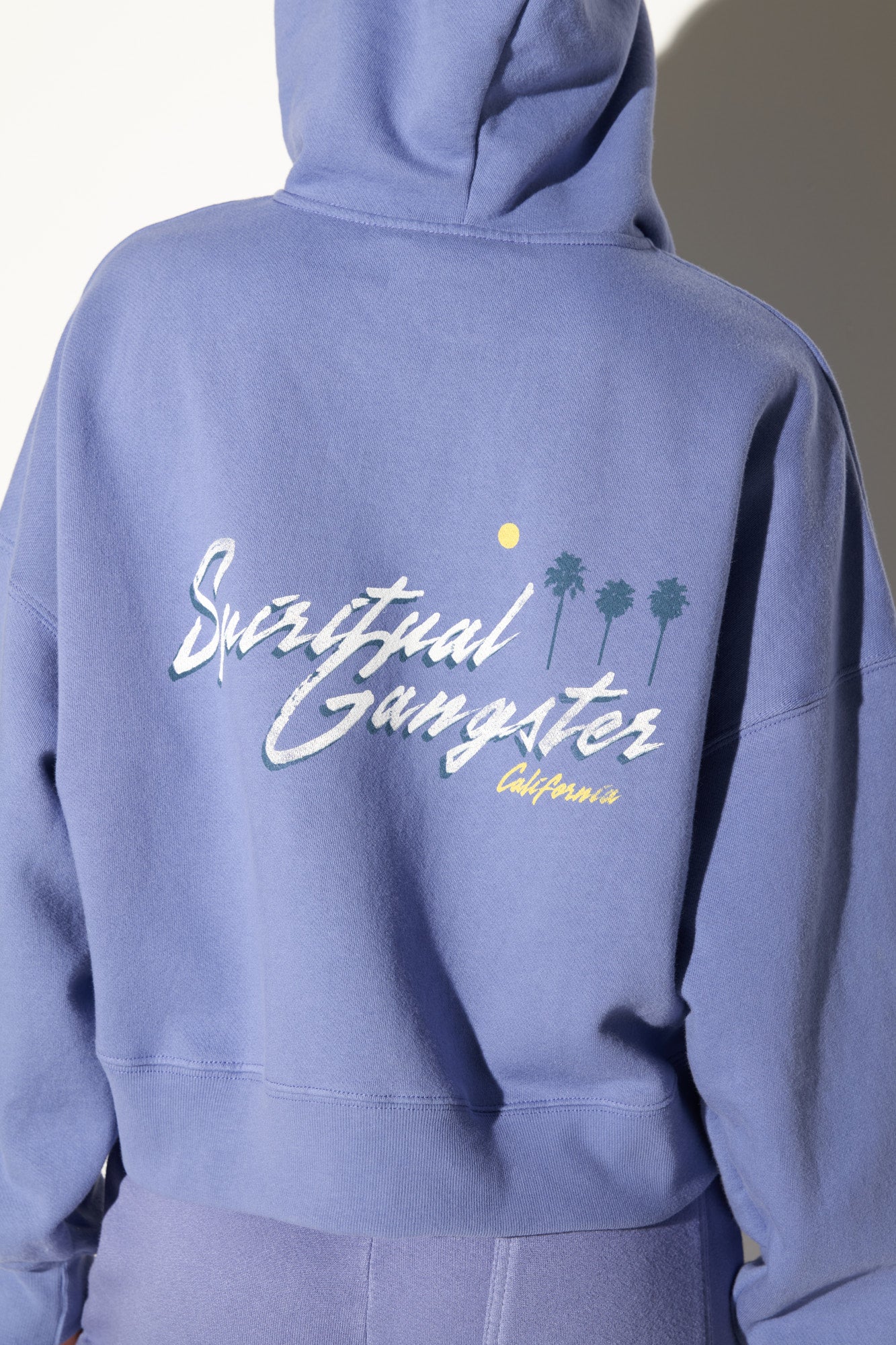 SG Palm Roxbury Zip Hoodie - Image 4