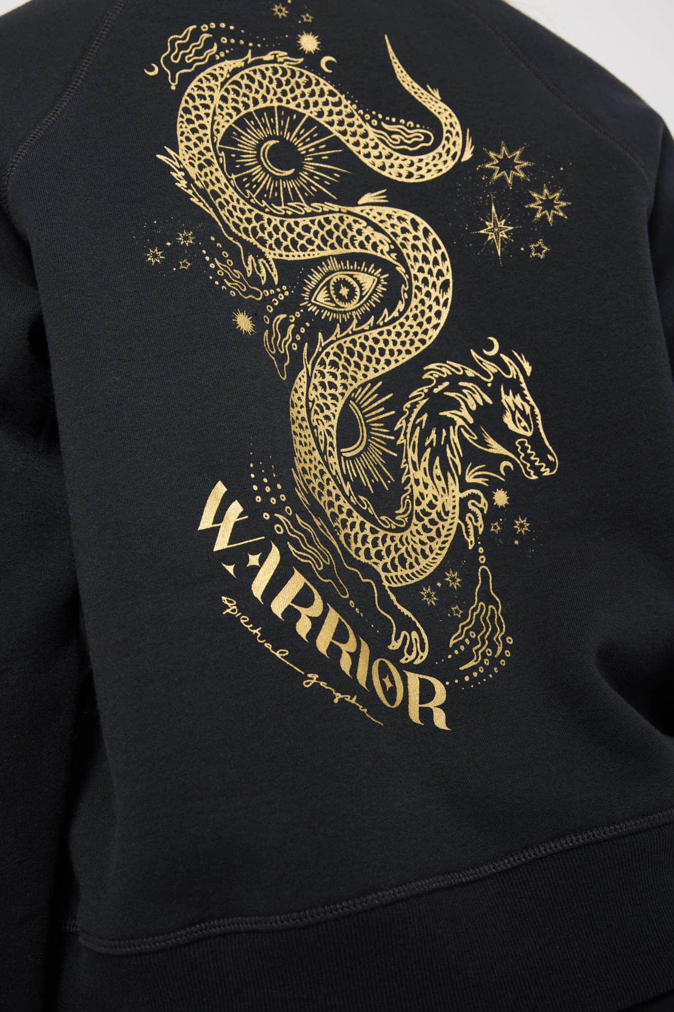Gold Dragon Forever Cozy Crew - Image 6
